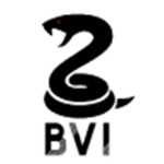 Black Vipers International