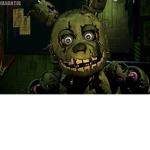 dooooooooooooooogs!!!!!!!!!!!!!!!!!!!!!!!!!!!!!!!!