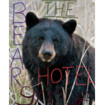 Bearr bear group