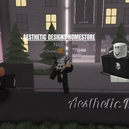 Aesthetic Designs HomeStore