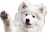 Borko & Frens