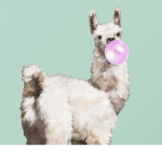 Lavender Llama Group