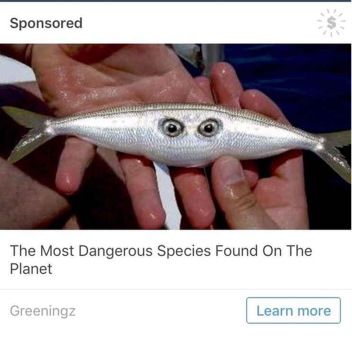 super's magical land of wonders