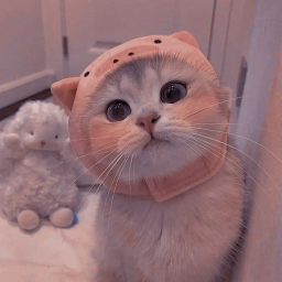 ☆