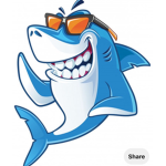 Cool shark
