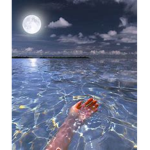 ~MidnightSwim Roleplays~