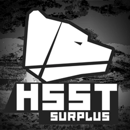 HSST Surplus Roblox group icon