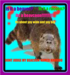 the beacoon pet owner club
