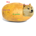 PUG_ROBUX