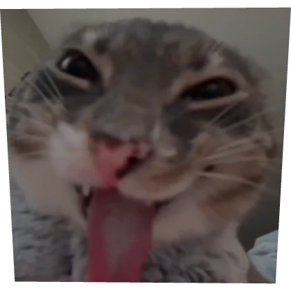 Rigby The Cat Profile Picture | Roblox Item - Rolimon's