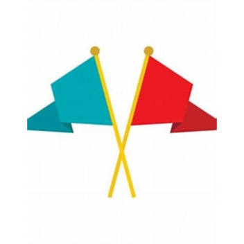 CAPTURE THE FLAG!