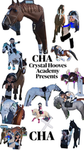 Crystal Hooves Academy