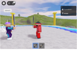 sword fight