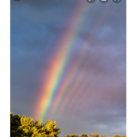 Rainbow__Squad