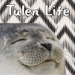 [Donut Shop 2.0!!!] Tulen Life!
