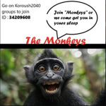 Monkeys_002