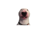 Epikmans123