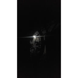 with