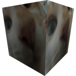 a special cat for a special gentlemen