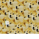Doge group :D