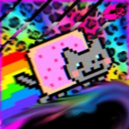 ꒦꒷ 🍥° ⋆ ❝𝐒𝐂𝐄𝐍𝐄  ★