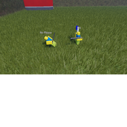 Capture The Flag