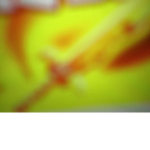 Flame King