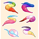 WORM ON A STRING GROUP CULT