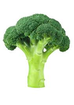 Broccoli Fan Club/Cult