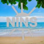 Nins County