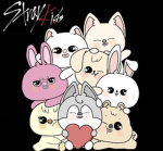 STRAY KIDS FAN ONLY GC (STRAY OR STZ)