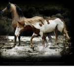 Spirit and rain