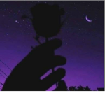 Brokenxvibes