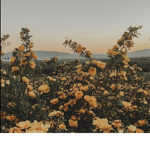 h e a r t b r o k e n :(