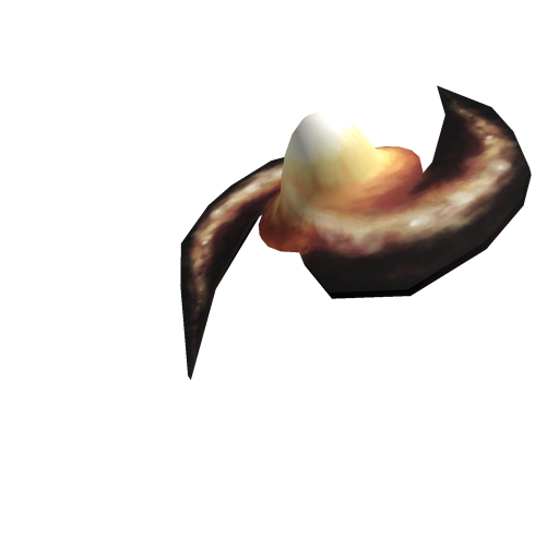 Egg of Space