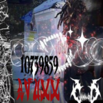 avuxx