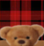 Bear Slipper Gang