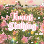 Toucans Clothing