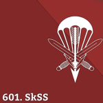 601. Special Forceѕ Group