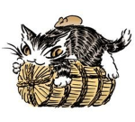Cattitude Covey [WCUE]