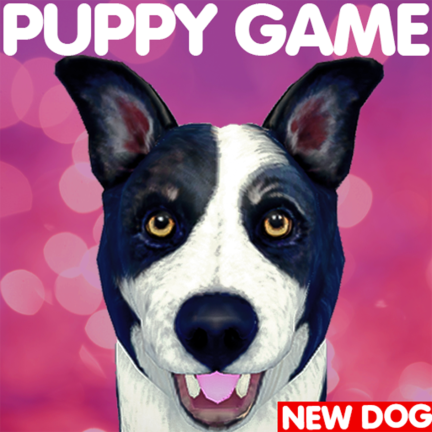 New Dog: Border Collie