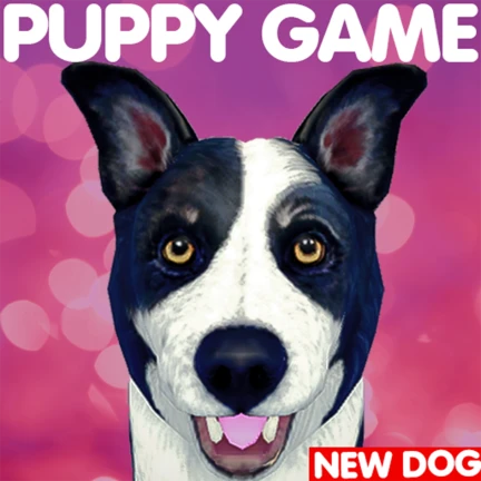 New Dog: Border Collie