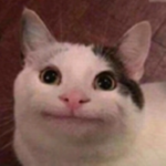 robux거래