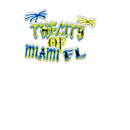 The City Of Miami FL