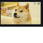 ded dogs