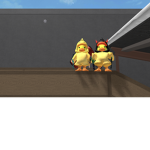 TheDuckysRule