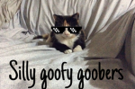 SILLY GOOFY GOOBERS <3