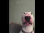 Beefby 21