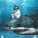 Sharkcommunity