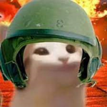The Pop Cat Military